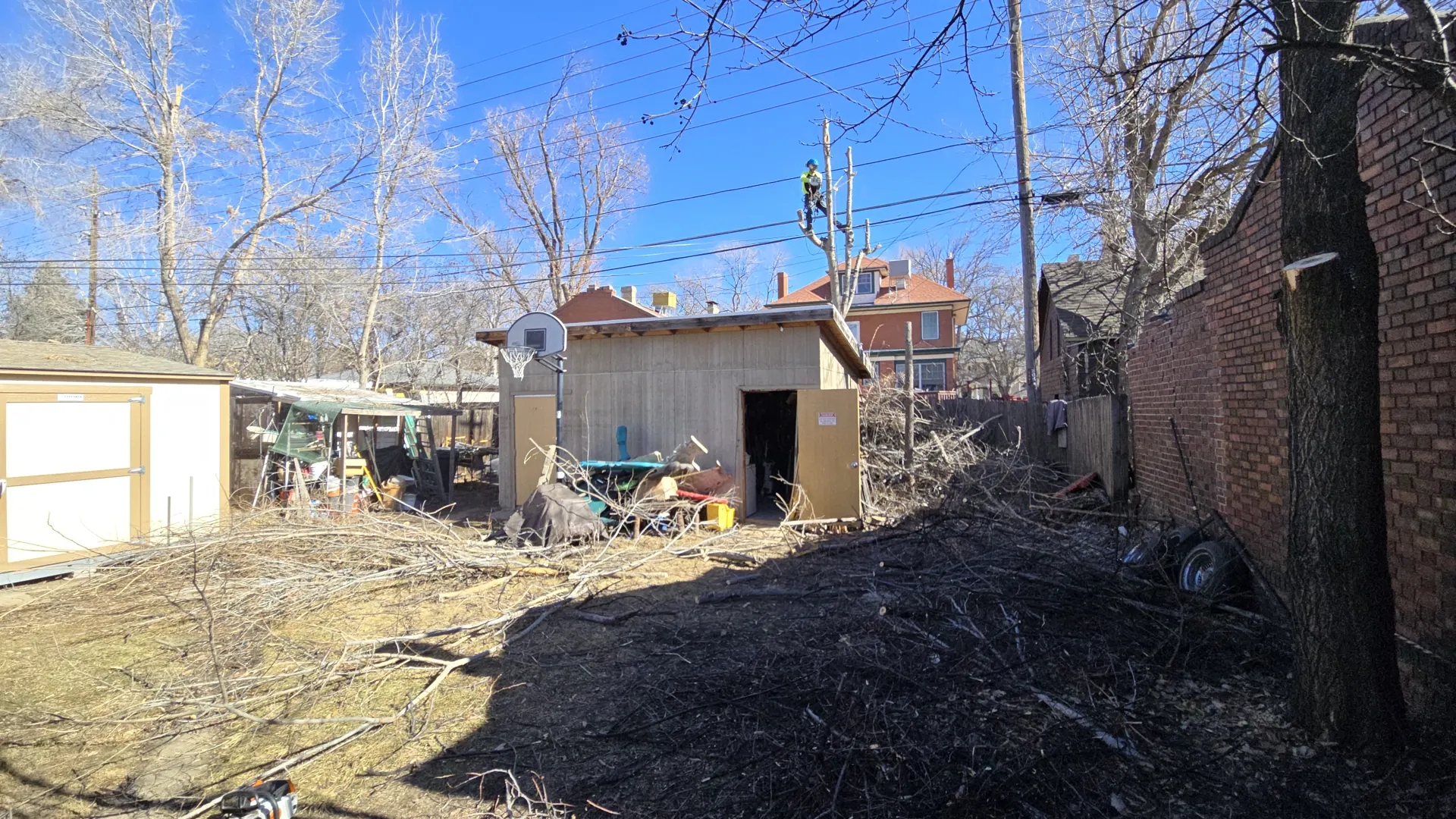 Backyard with a shed and brick wall raked and cleaned up after Arbol De Fuego finished a tree job