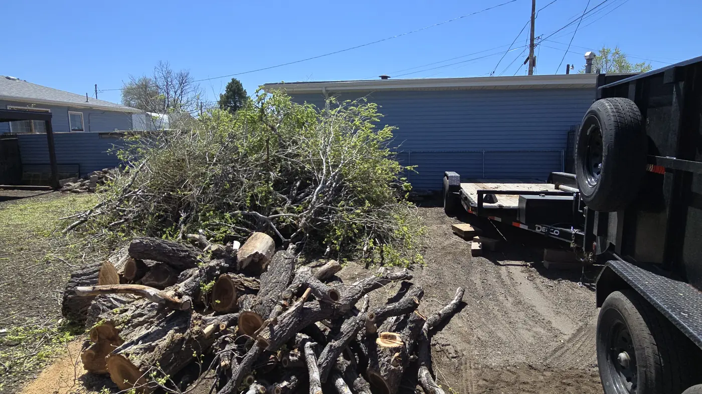 Pile of cut branches and logs stacked beside the Arbol De Fuego dump trailer after a cleanup