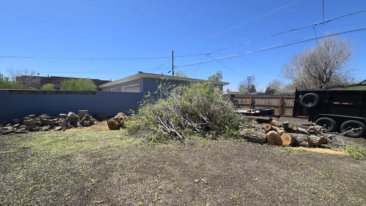 Northglenn backyard mid cleanup with brush piled for hauling, cut wood stacked, and the dump trailer backed in