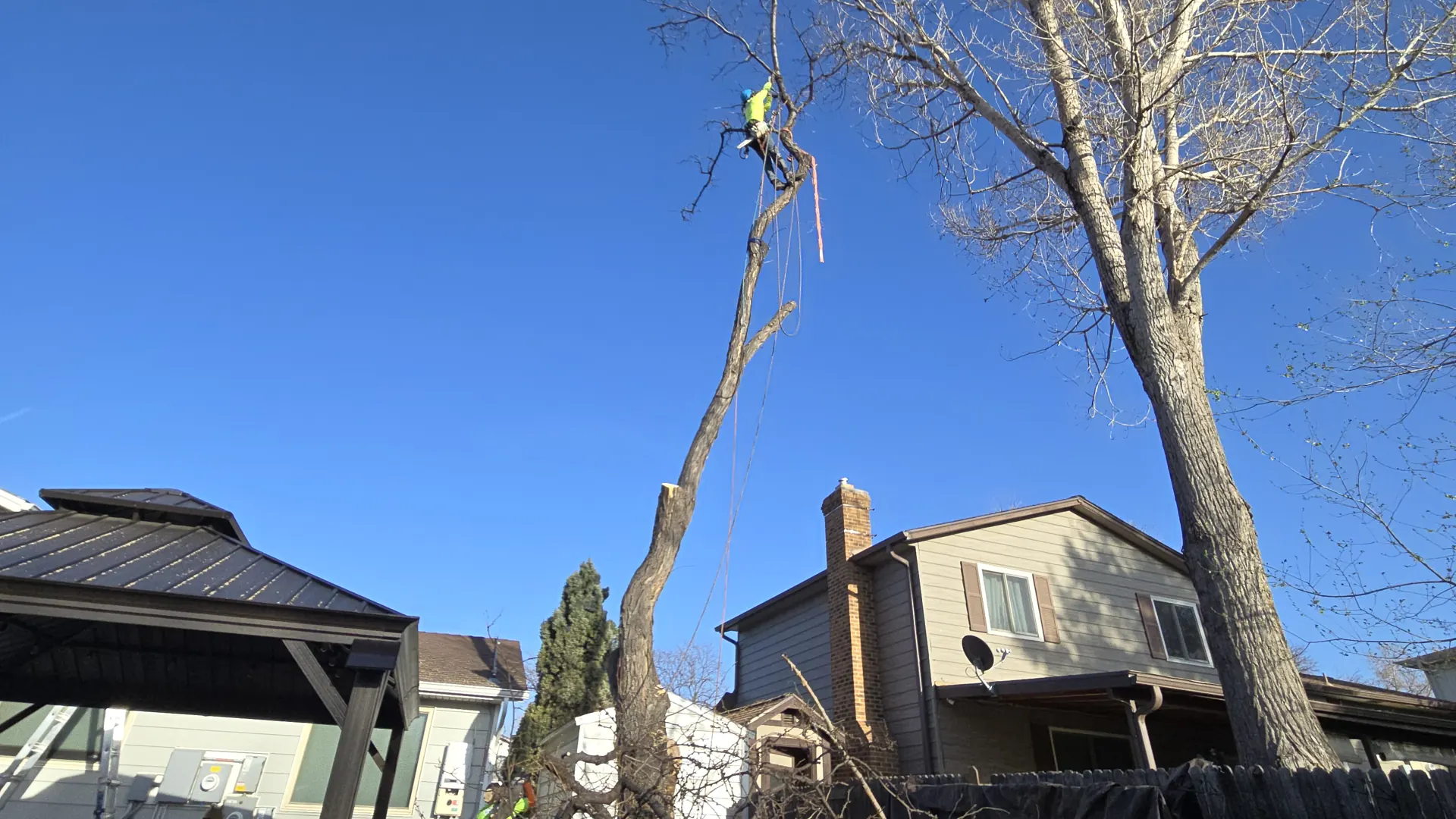 Arbol De Fuego climber dismantling a tall tree behind a two story home while the yard below is cleaned up