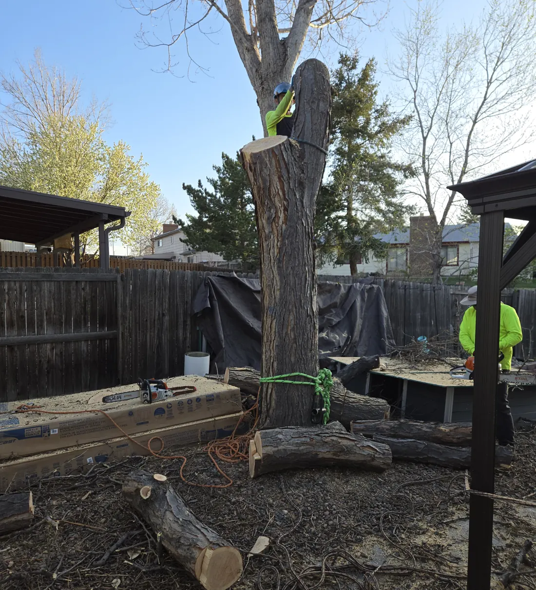 Climber standing on a tall trunk stub with cut logs on the ground and a crew member cleaning up below