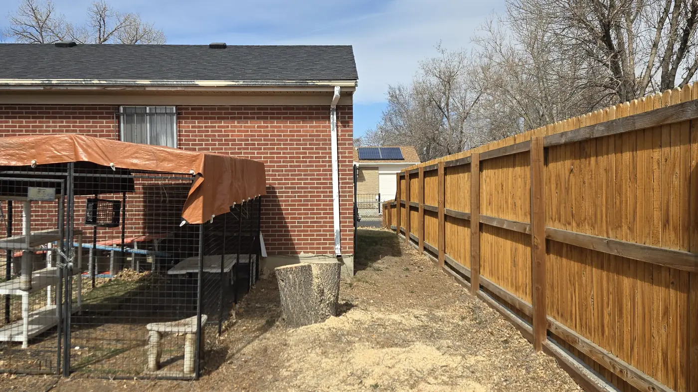 Cleared and raked backyard along a new cedar fence behind a brick home in Northglenn