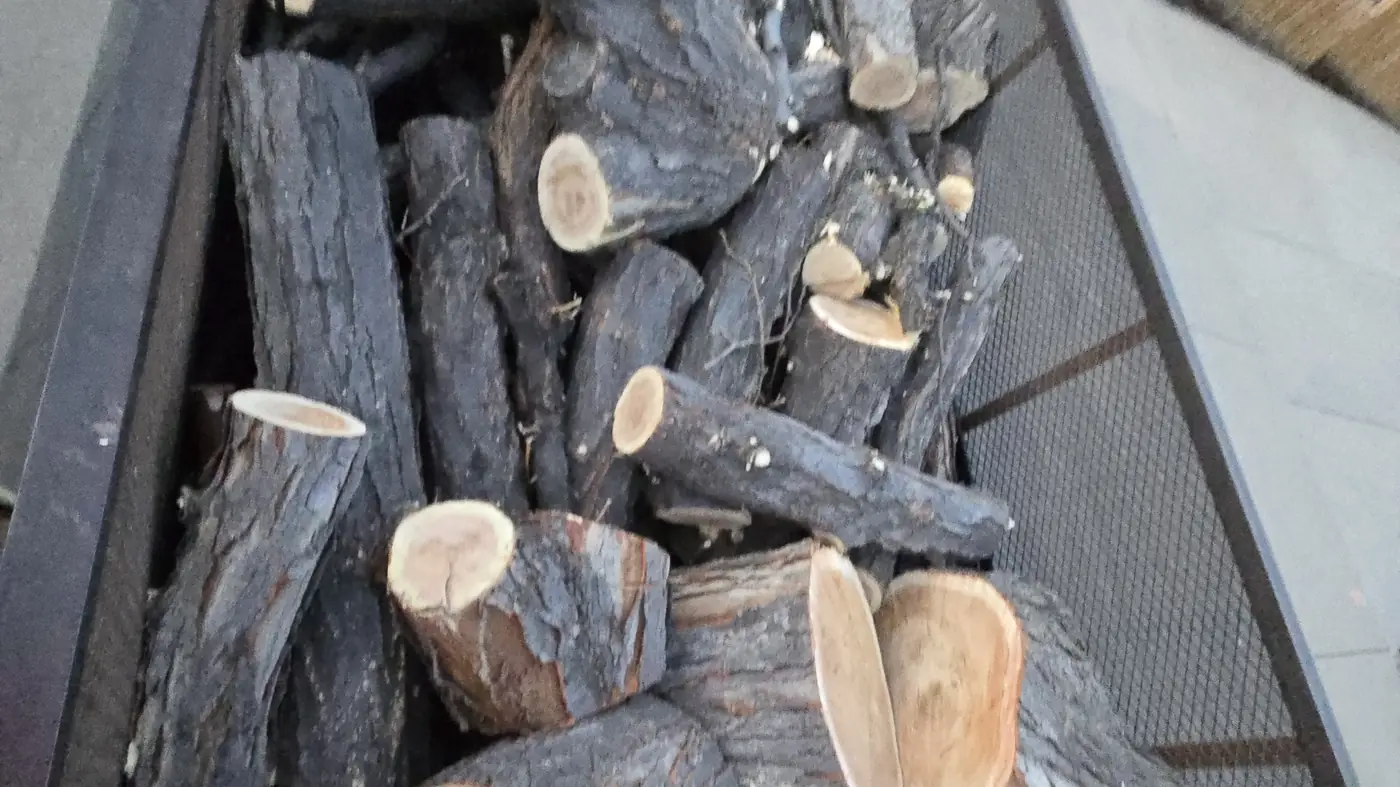 Cottonwood and elm rounds stacked in the Arbol De Fuego truck bed, ready to haul
