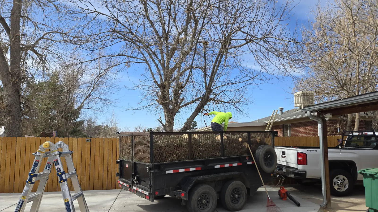 Arbol De Fuego Services truck and dump trailer in a Northglenn driveway with a climber working the tree behind